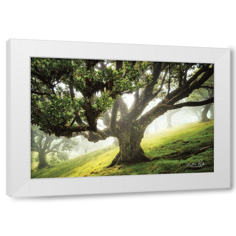 King of the Forest     White Modern Wood Framed Art Print by Podt, Martin