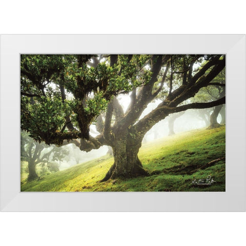 King of the Forest     White Modern Wood Framed Art Print by Podt, Martin