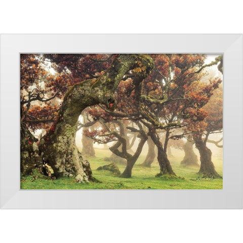 Fanal White Modern Wood Framed Art Print by Podt, Martin