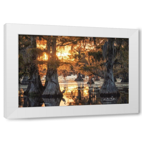 Sunset in the Swamps White Modern Wood Framed Art Print by Podt, Martin