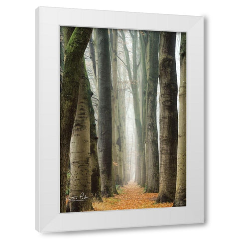 Narrow Alley in the Netherlands     White Modern Wood Framed Art Print by Podt, Martin