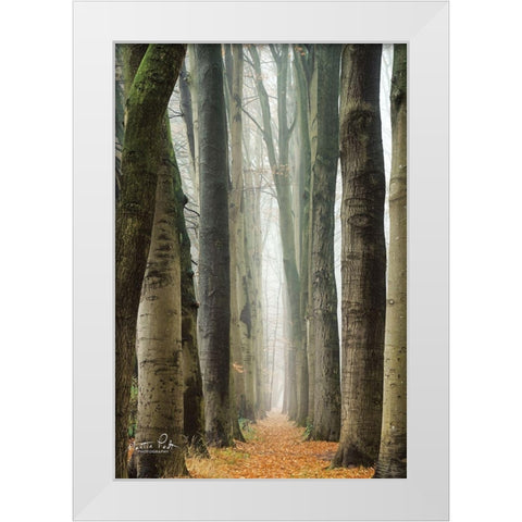 Narrow Alley in the Netherlands     White Modern Wood Framed Art Print by Podt, Martin