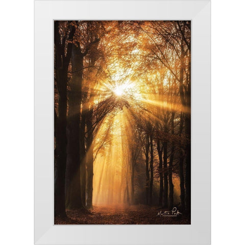 Sunburst     White Modern Wood Framed Art Print by Podt, Martin