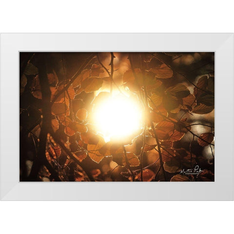 Into the Sun White Modern Wood Framed Art Print by Podt, Martin