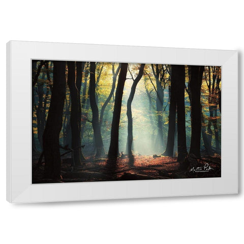 Forest Blues White Modern Wood Framed Art Print by Podt, Martin