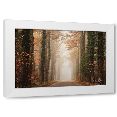 Foggy Autumn Road   White Modern Wood Framed Art Print by Podt, Martin