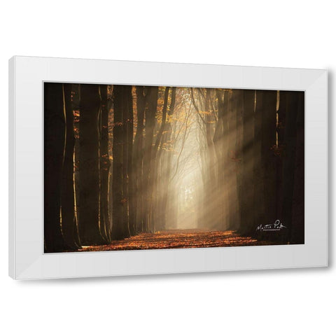 Classic Shot   White Modern Wood Framed Art Print by Podt, Martin