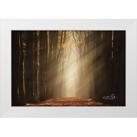 Classic Shot   White Modern Wood Framed Art Print by Podt, Martin