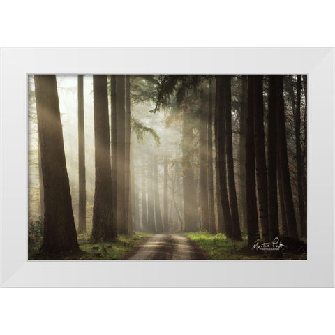 Natural Beauty   White Modern Wood Framed Art Print by Podt, Martin