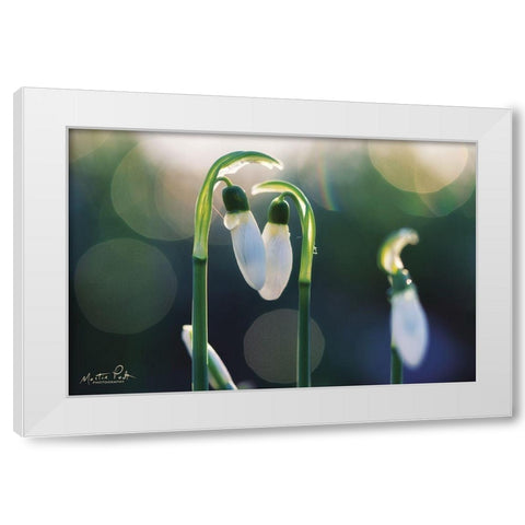 Snowdrops I  White Modern Wood Framed Art Print by Podt, Martin