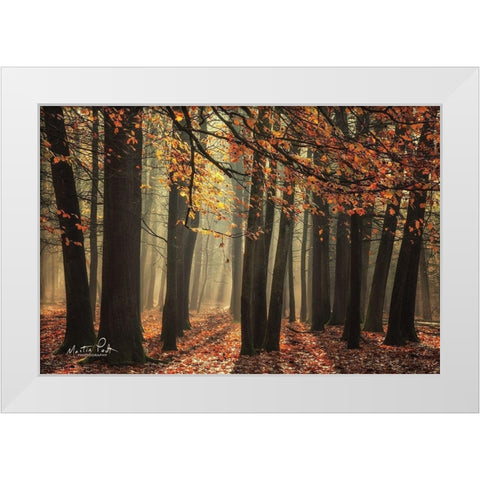 Bunch of Trees White Modern Wood Framed Art Print by Podt, Martin