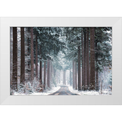 Pines in Winter Dress White Modern Wood Framed Art Print by Podt, Martin
