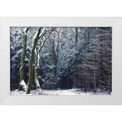 Gate to the Dark World White Modern Wood Framed Art Print by Podt, Martin