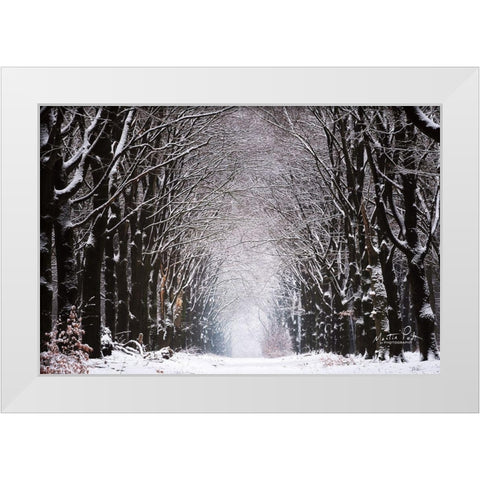 Winter Tunnel White Modern Wood Framed Art Print by Podt, Martin