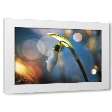 Snowdrops IV White Modern Wood Framed Art Print by Podt, Martin