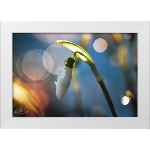Snowdrops IV White Modern Wood Framed Art Print by Podt, Martin