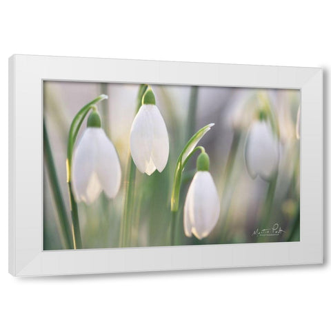 Delicate White Modern Wood Framed Art Print by Podt, Martin