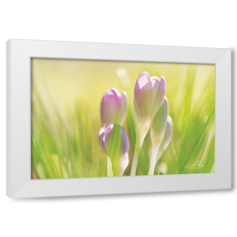 Soft Crocus White Modern Wood Framed Art Print by Podt, Martin