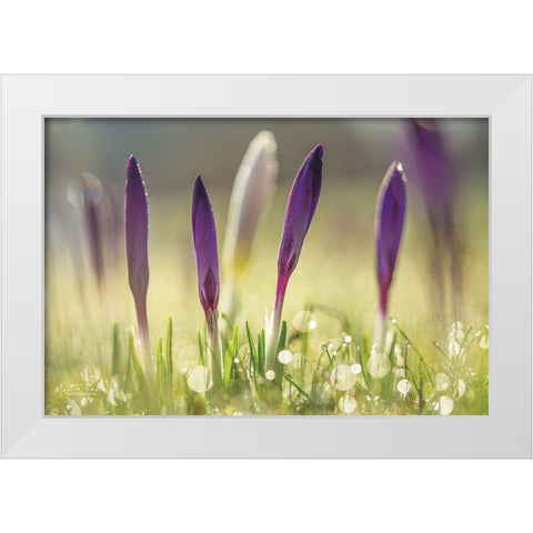 Four in a Row White Modern Wood Framed Art Print by Podt, Martin
