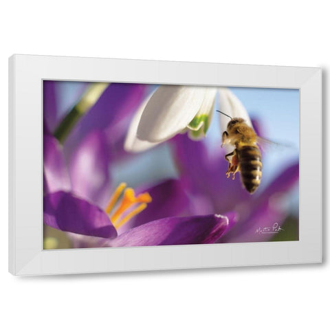 Bee I White Modern Wood Framed Art Print by Podt, Martin