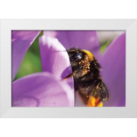 Bee II White Modern Wood Framed Art Print by Podt, Martin