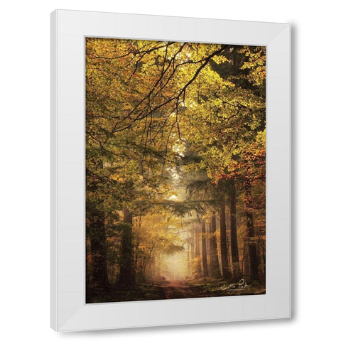 Memories of the Past White Modern Wood Framed Art Print by Podt, Martin