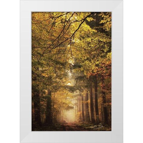 Memories of the Past White Modern Wood Framed Art Print by Podt, Martin