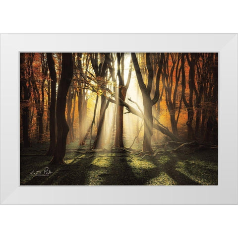 The Awakening White Modern Wood Framed Art Print by Podt, Martin