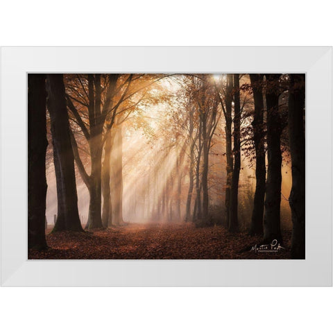 Look for the Light in All Things White Modern Wood Framed Art Print by Podt, Martin