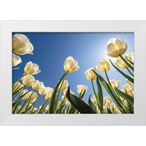 Look Up in White      White Modern Wood Framed Art Print by Podt, Martin
