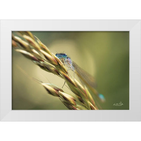 Damselfly White Modern Wood Framed Art Print by Podt, Martin
