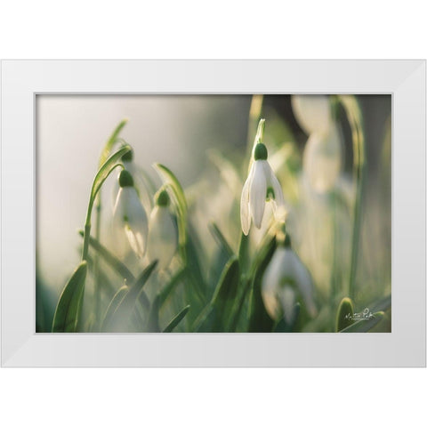Snowdrops White Modern Wood Framed Art Print by Podt, Martin