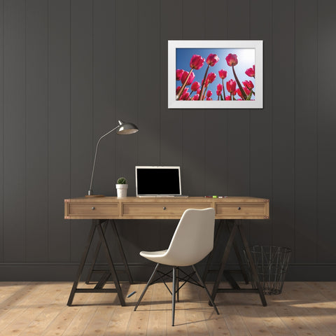 Look Up in Pink White Modern Wood Framed Art Print by Podt, Martin