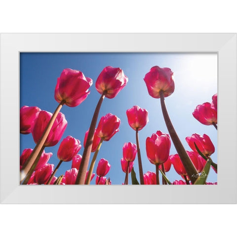 Look Up in Pink White Modern Wood Framed Art Print by Podt, Martin