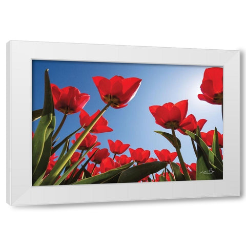 Look Up in Red White Modern Wood Framed Art Print by Podt, Martin