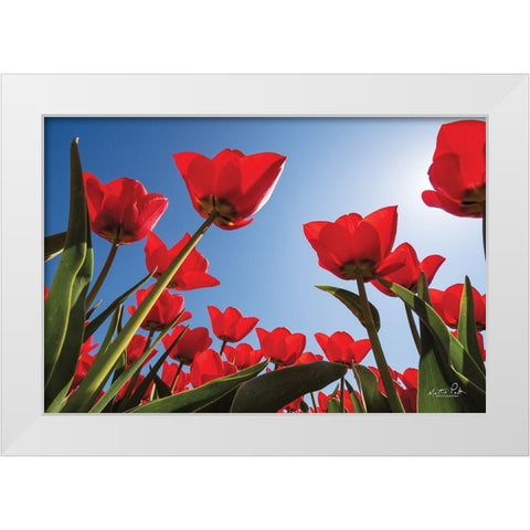 Look Up in Red White Modern Wood Framed Art Print by Podt, Martin