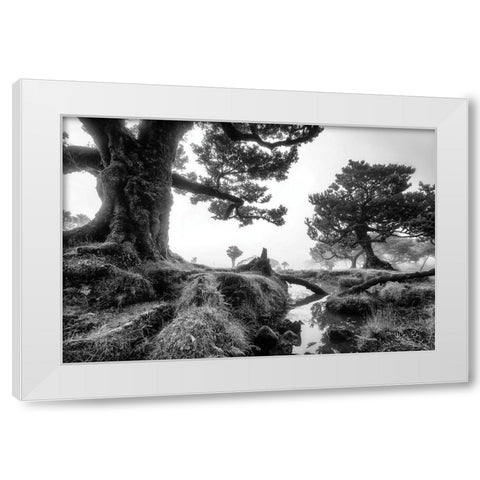 Black and White Fanal White Modern Wood Framed Art Print by Podt, Martin
