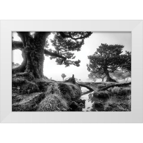 Black and White Fanal White Modern Wood Framed Art Print by Podt, Martin