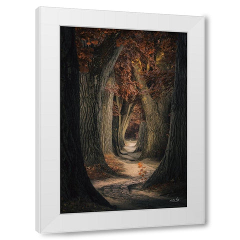 Same Old Path White Modern Wood Framed Art Print by Podt, Martin