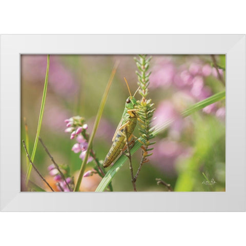 Grasshopper White Modern Wood Framed Art Print by Podt, Martin