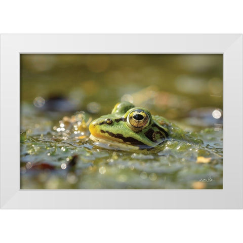 Frog White Modern Wood Framed Art Print by Podt, Martin