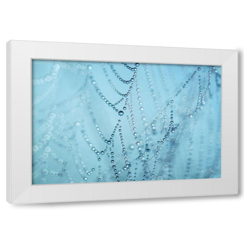 Natures Jewels I White Modern Wood Framed Art Print by Podt, Martin