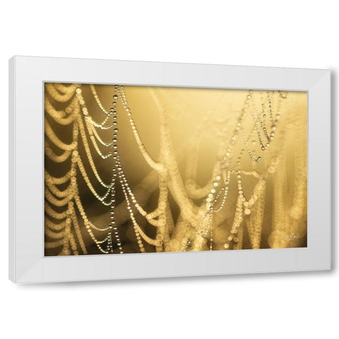 Natures Jewels II White Modern Wood Framed Art Print by Podt, Martin