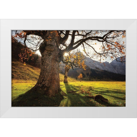 The Star White Modern Wood Framed Art Print by Podt, Martin