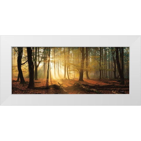 Speulderbos Panorama White Modern Wood Framed Art Print by Podt, Martin