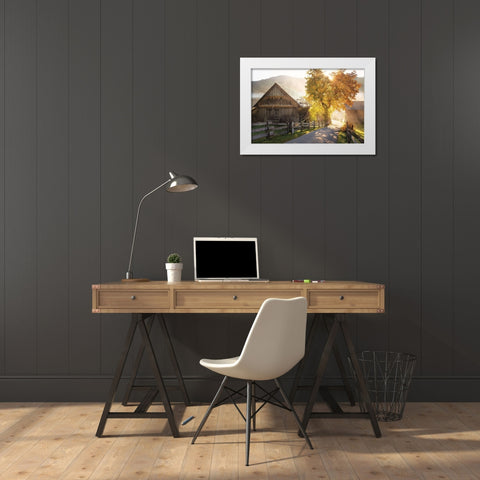 Autumn Road White Modern Wood Framed Art Print by Podt, Martin