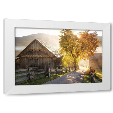 Autumn Road White Modern Wood Framed Art Print by Podt, Martin