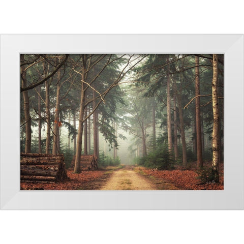 Harvesting Time White Modern Wood Framed Art Print by Podt, Martin