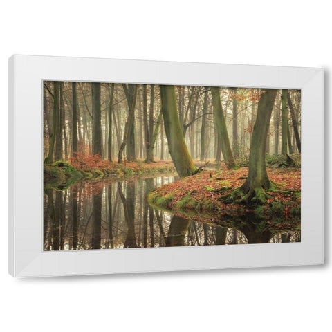 Rising Hope White Modern Wood Framed Art Print by Podt, Martin