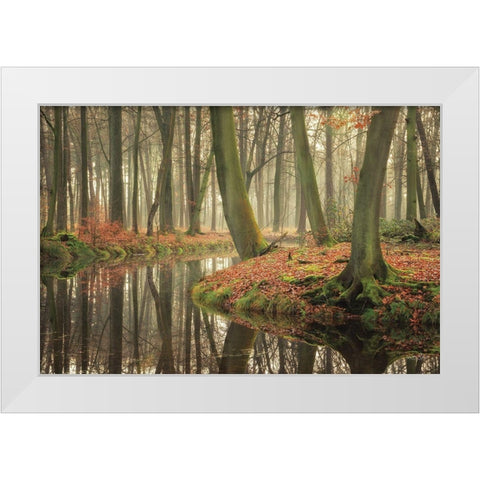 Rising Hope White Modern Wood Framed Art Print by Podt, Martin